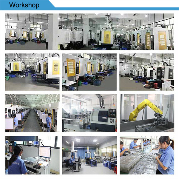چین Xinshizhan Precision Co., Ltd. نمایه شرکت